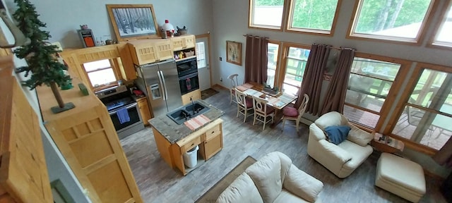 living room with a high ceiling and hardwood / wood-style floors