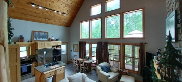 living room featuring plenty of natural light, rail lighting, high vaulted ceiling, and wooden ceiling