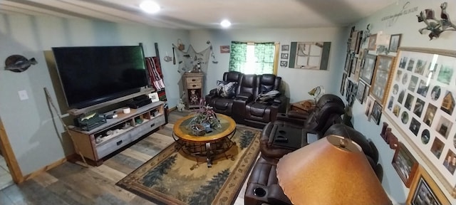 living room featuring wood-type flooring