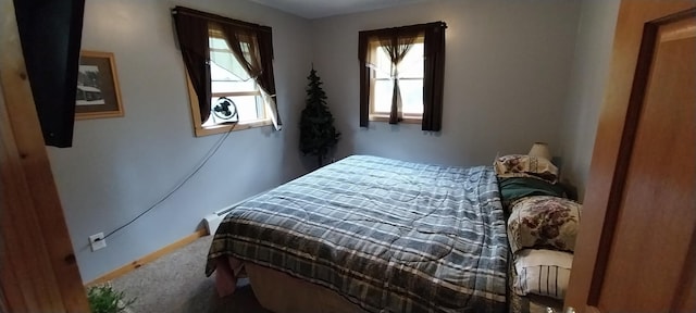 carpeted bedroom with multiple windows