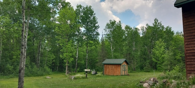 view of yard featuring a storage unit