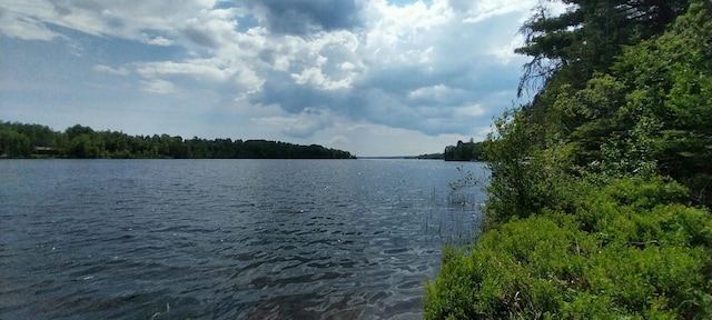 view of water feature