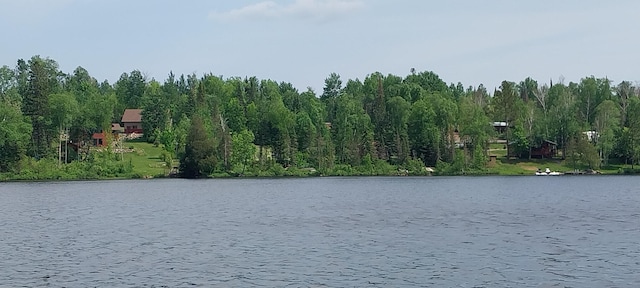 view of water feature