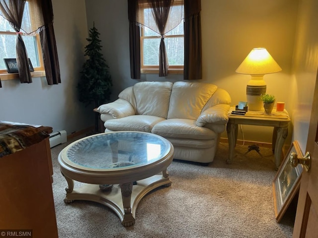 living area featuring a baseboard heating unit and carpet flooring