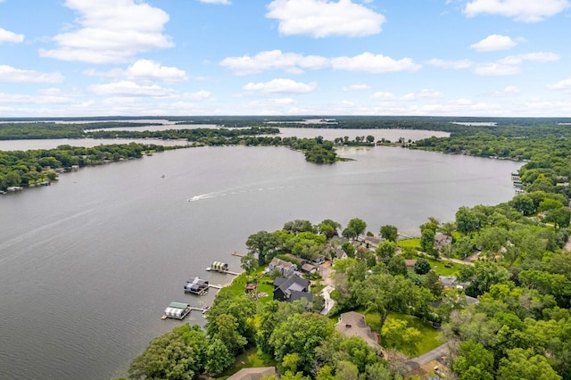 drone / aerial view with a water view