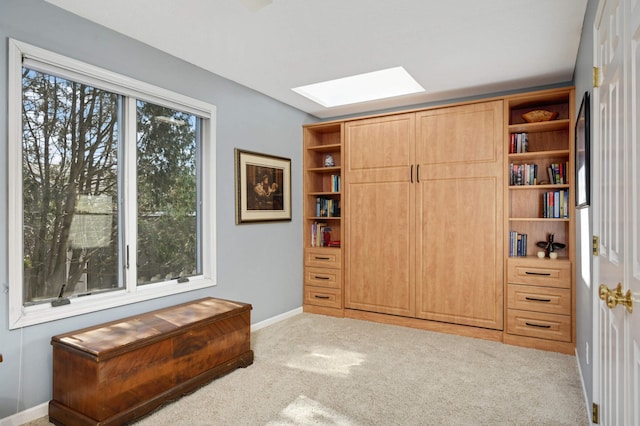 interior space featuring a skylight, baseboards, and carpet flooring