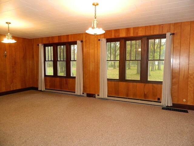 carpeted spare room featuring wood walls and a wealth of natural light