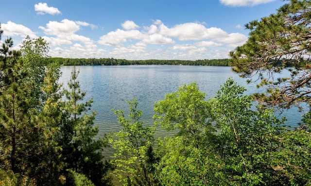 779 32nd Ave NW, Backus, MN 56435