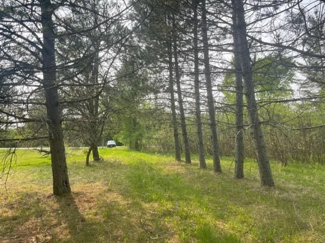 11581 State Highway 1, Cook MN, 55723 land for sale