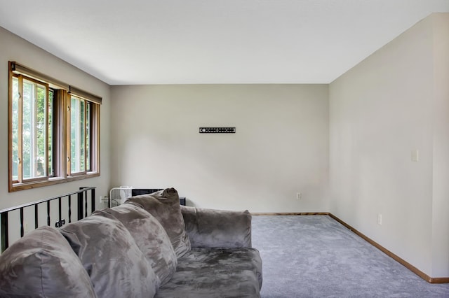 living room with carpet