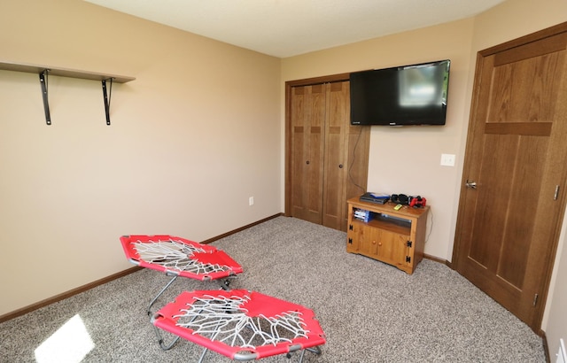 recreation room featuring carpet floors