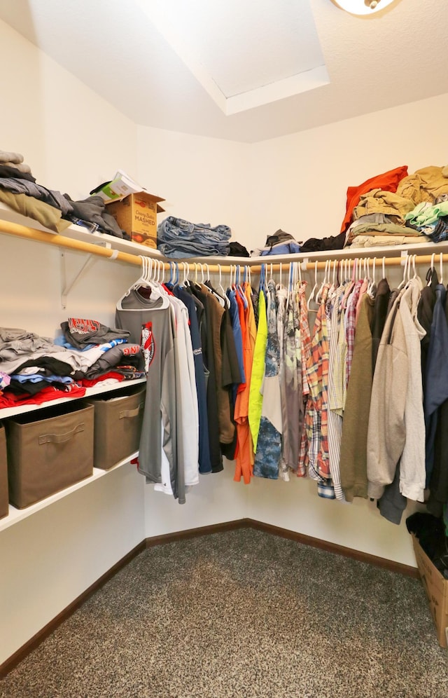 walk in closet featuring carpet flooring