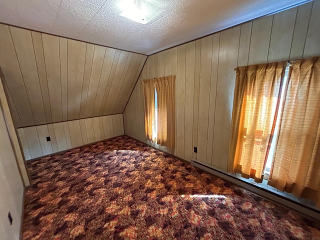 additional living space featuring carpet, wood walls, lofted ceiling, a textured ceiling, and a baseboard radiator