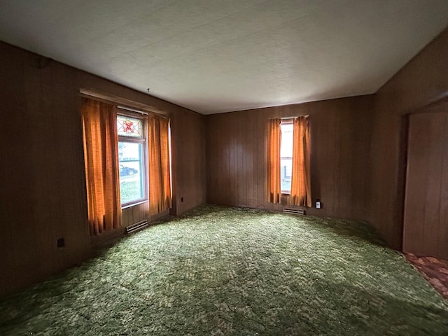 spare room featuring carpet and wooden walls