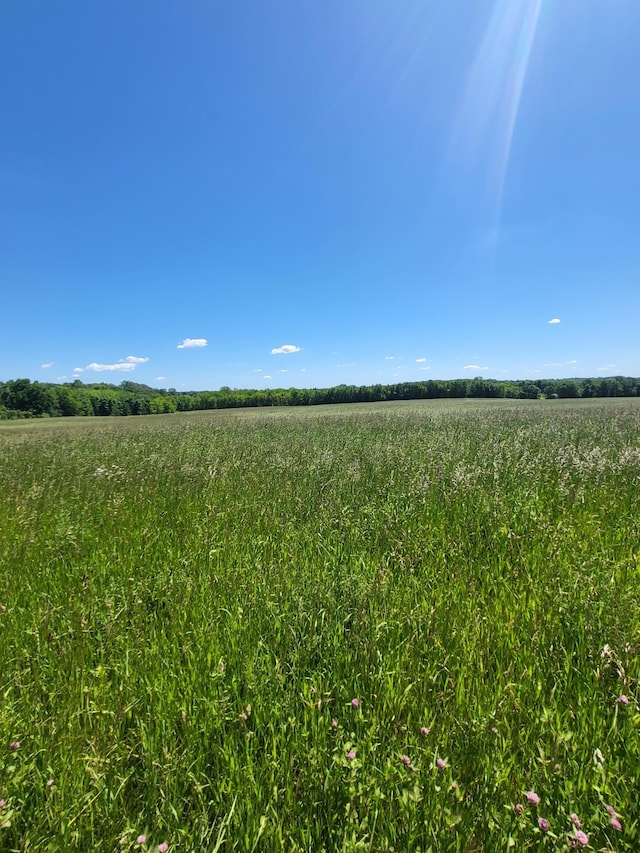 XXX Nelson Rd, Independence MN, 55328 land for sale