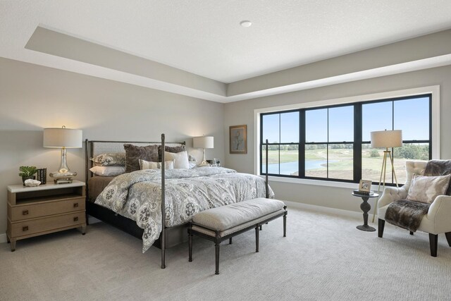 bedroom with light carpet, a water view, and a raised ceiling