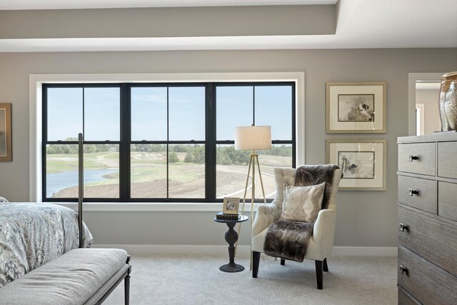 bedroom with multiple windows and carpet floors