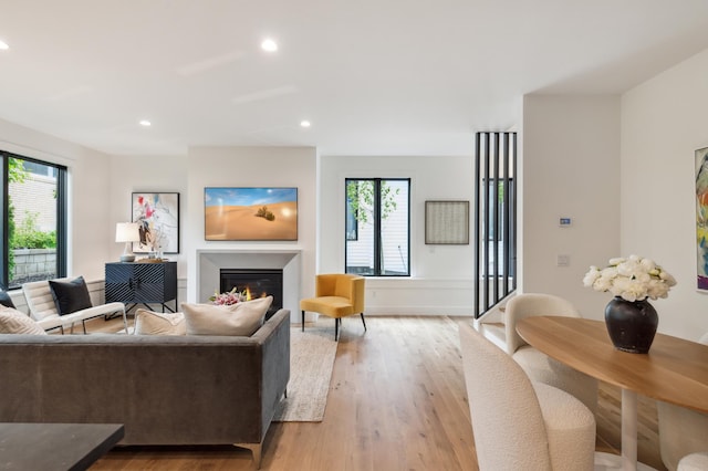 living room with plenty of natural light and light hardwood / wood-style floors