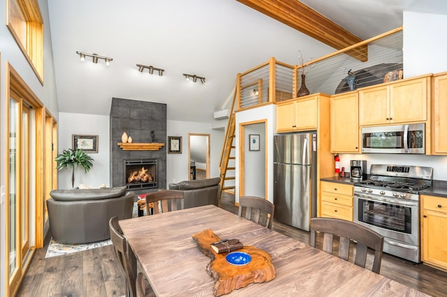 kitchen with a fireplace, stainless steel appliances, track lighting, a towering ceiling, and dark wood-type flooring