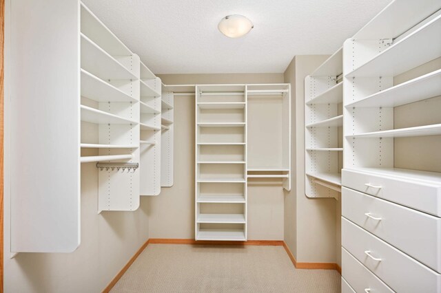 walk in closet featuring light colored carpet