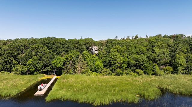 view of local wilderness with a water view