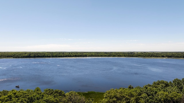 39050 Twin Lakes Rd, Menahga, MN 56464 - property view of water with a forest view