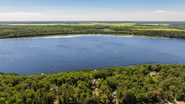 39050 Twin Lakes Rd, Menahga, MN 56464 - bird's eye view featuring a wooded view and a water view