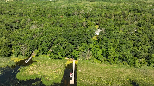 39050 Twin Lakes Rd, Menahga, MN 56464 - bird's eye view featuring a wooded view