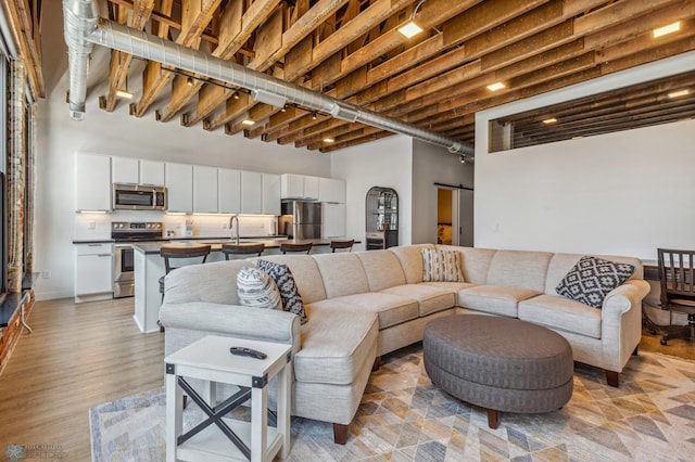 living room with a barn door, light hardwood / wood-style flooring, and a high ceiling