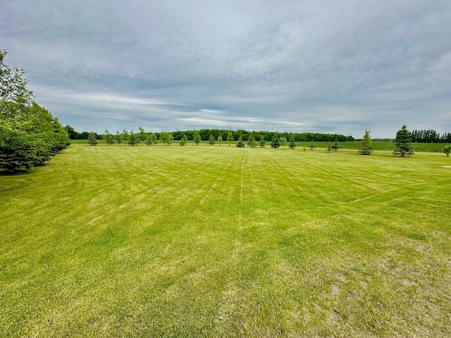 view of yard with a rural view