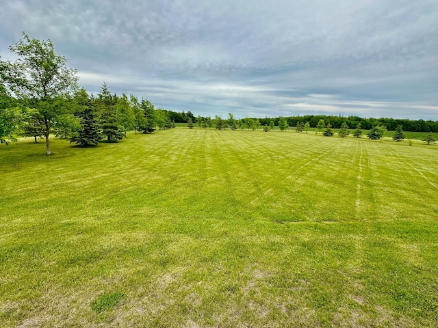 view of yard featuring a rural view