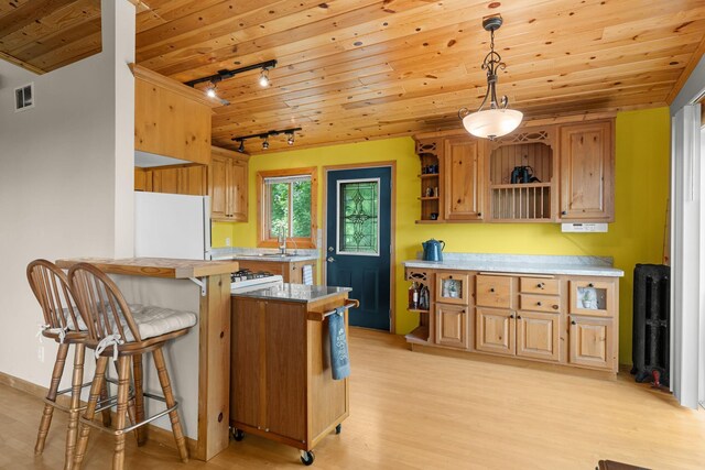 1738 White Ash Dr Unit A, Balsam Lake, WI 54810 - kitchen featuring freestanding refrigerator, rail lighting, visible vents, a breakfast bar, and wood ceiling