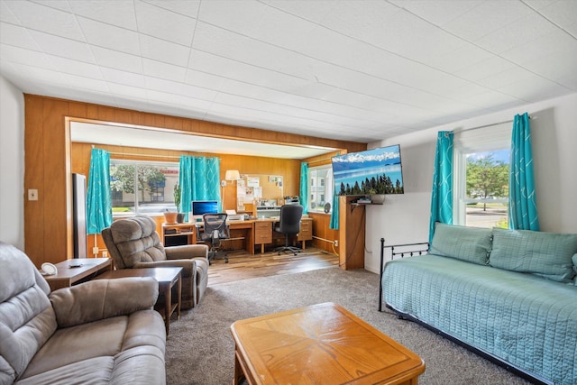 carpeted living room with wood walls and a wealth of natural light