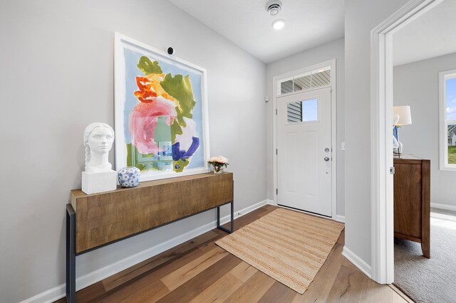 foyer featuring wood-type flooring