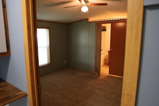 interior space featuring carpet, a textured ceiling, and ornamental molding