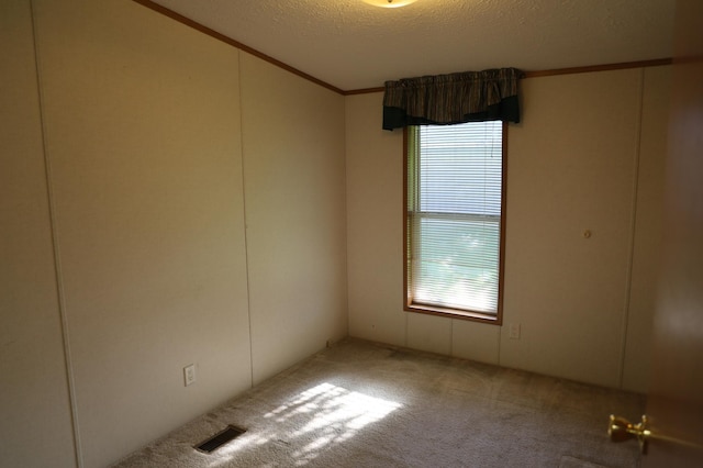 carpeted empty room with crown molding and a textured ceiling