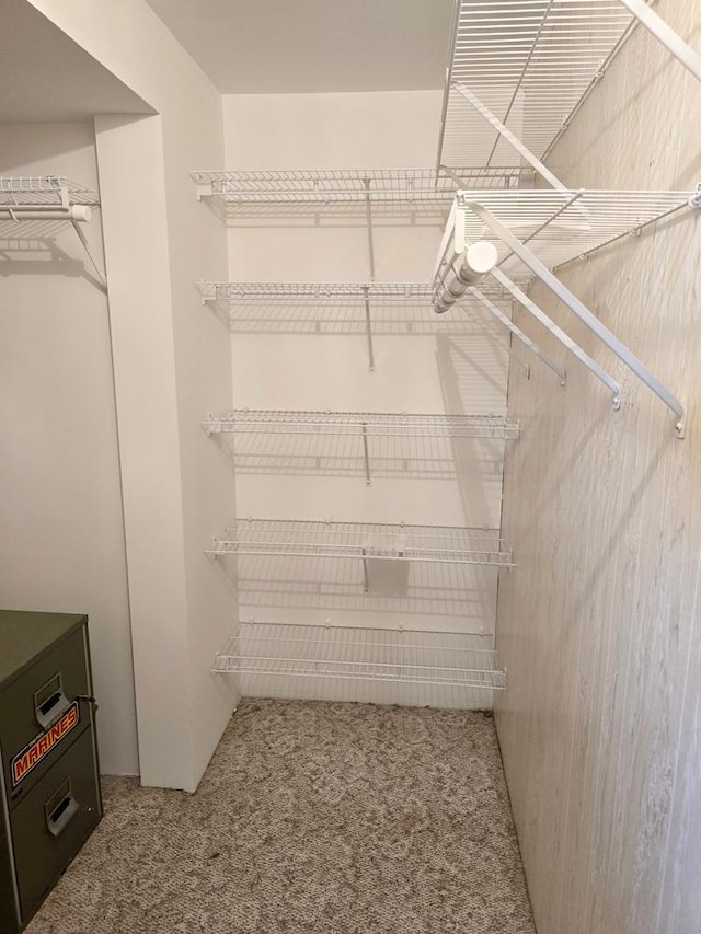 walk in closet featuring carpet flooring