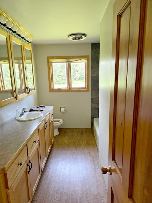 bathroom featuring vanity, toilet, and wood-type flooring