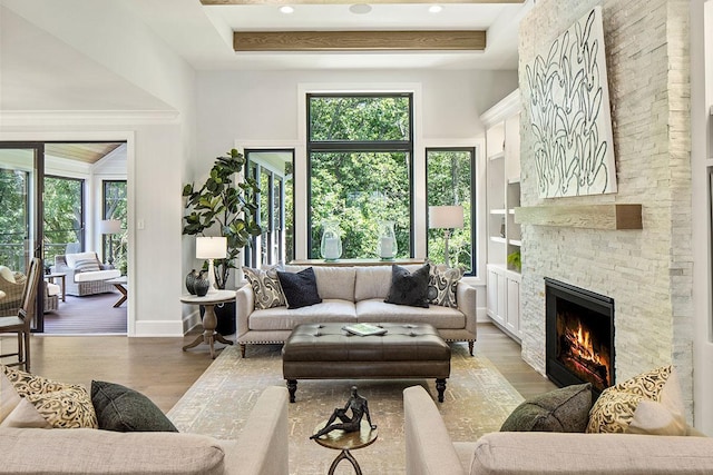 living room featuring wood-type flooring, a tray ceiling, and a fireplace