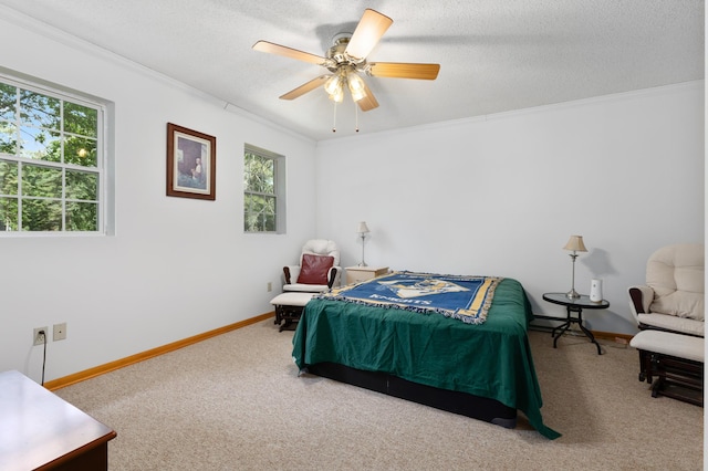 35324 Birchdale Villa Dr, Pequot Lakes, MN 56472 - photo 12