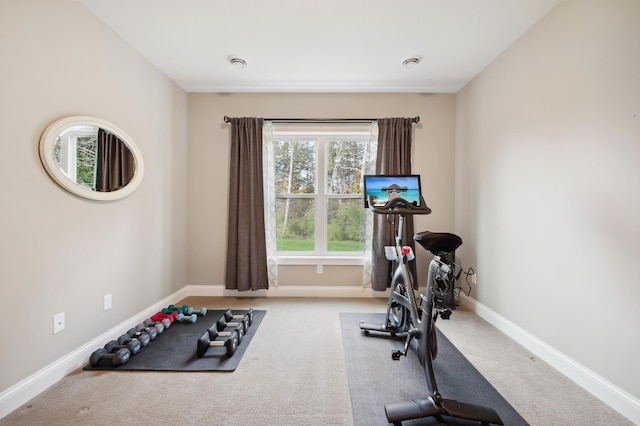 workout area featuring carpet floors