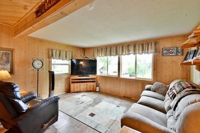 46350 Cambridge Dr, Stanchfield, MN 55080 - living area featuring wood walls, a textured ceiling, and light tile patterned floors