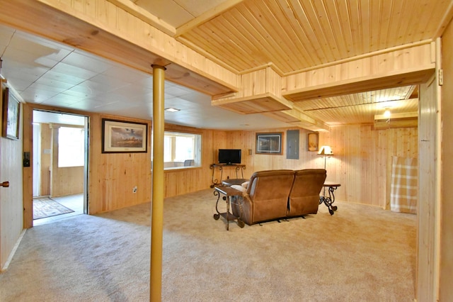 46350 Cambridge Dr, Stanchfield, MN 55080 - living room with plenty of natural light, carpet flooring, electric panel, and wood walls