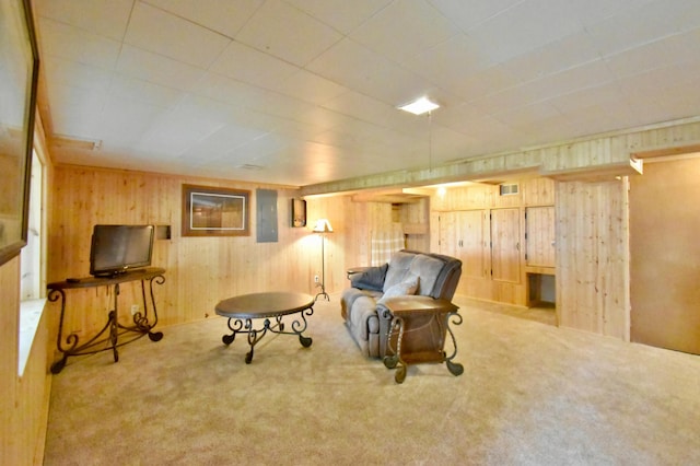 46350 Cambridge Dr, Stanchfield, MN 55080 - carpeted living room with wood walls and electric panel