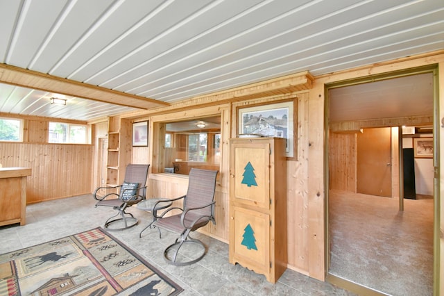 46350 Cambridge Dr, Stanchfield, MN 55080 - living area featuring wood walls
