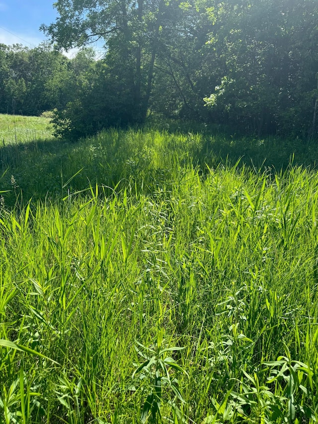 TBD County 29, Browerville, MN 56438 - photo 4