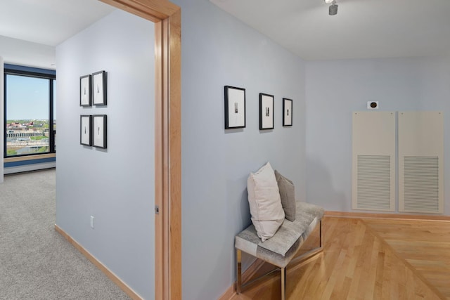 1240 2nd St Unit 1201, Minneapolis, MN 55415 - hall featuring baseboards