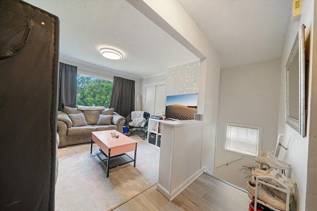 living room featuring a textured ceiling and light wood-type flooring