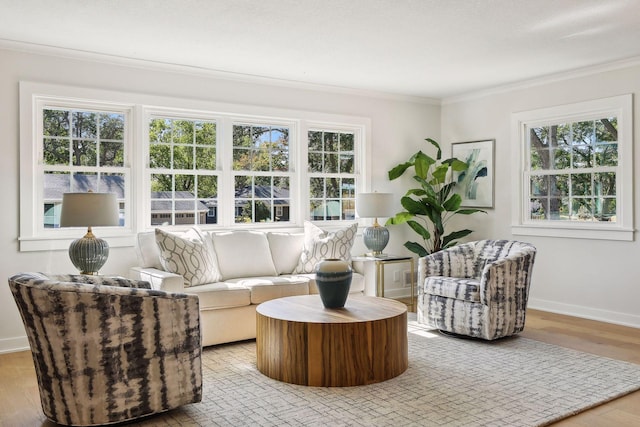 living room with light hardwood / wood-style flooring and crown molding