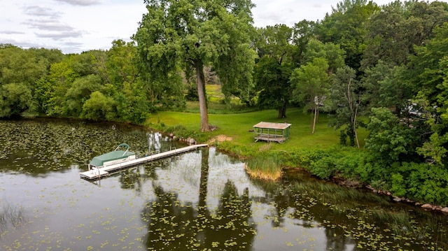21701 Wagner Bay Ln, Elysian Twp, MN 56028